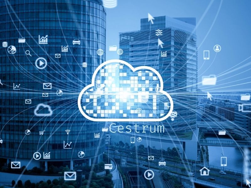 Cestrum Cloud Orchestrator
