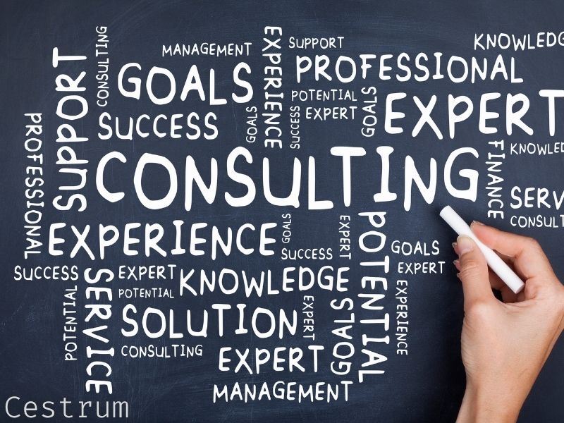Enterprise Solutions and Consulting