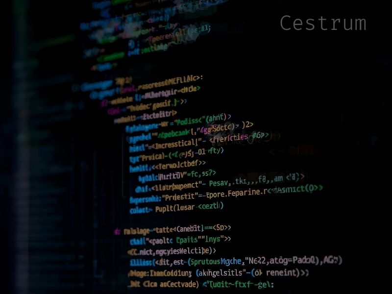 Web and Software Engineering Services